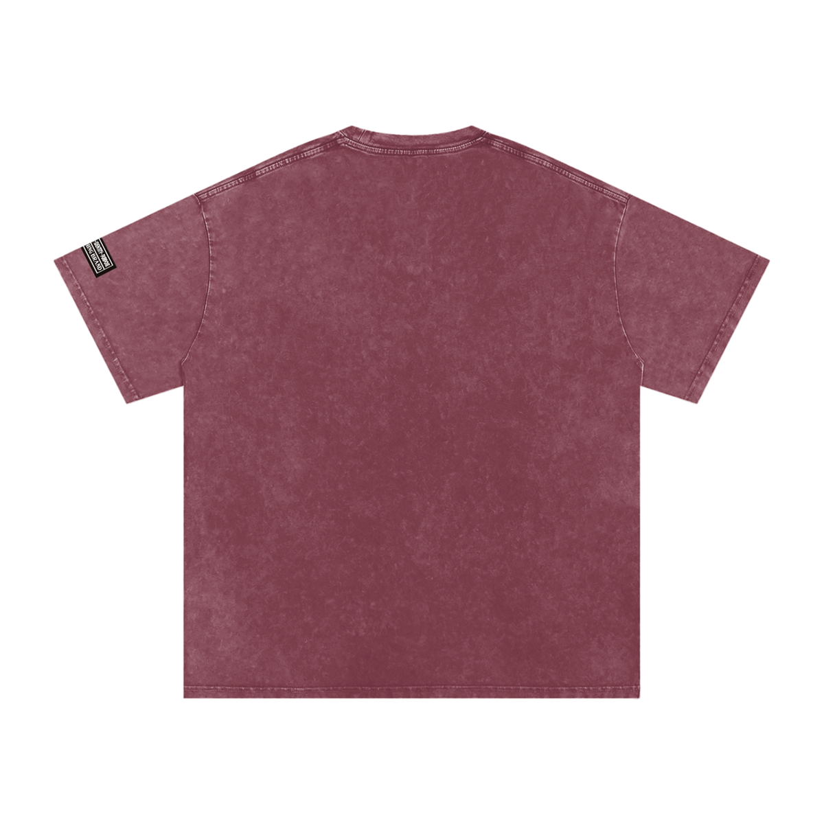 TUPAC Snow Washed Oversized T-Shirt