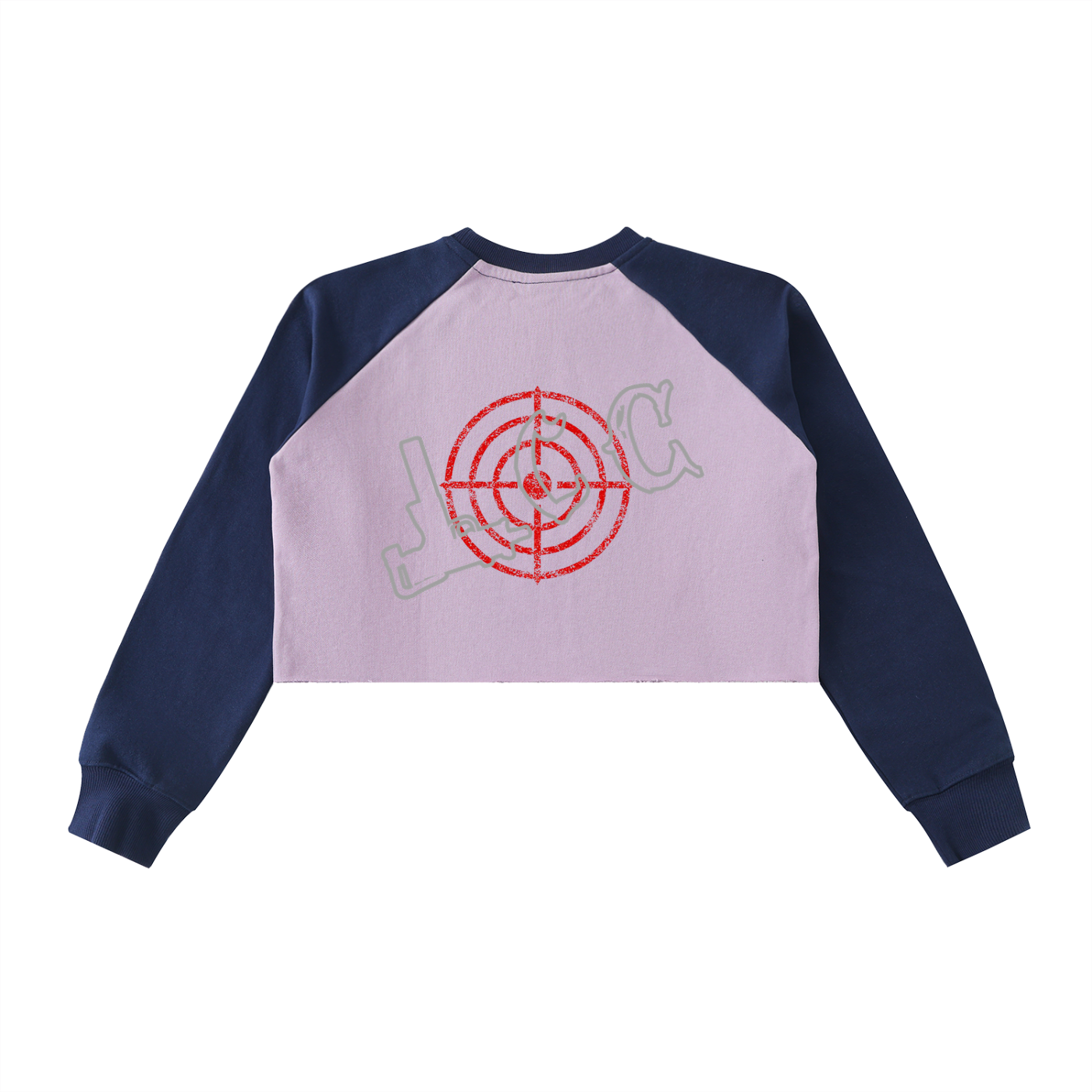 LCC TARGET Raglan Crop Sweatshirt
