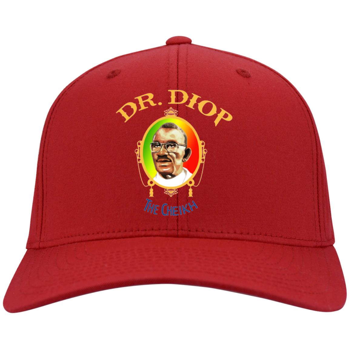 Chieck Anta Diop Flex Fit Twill Baseball Cap