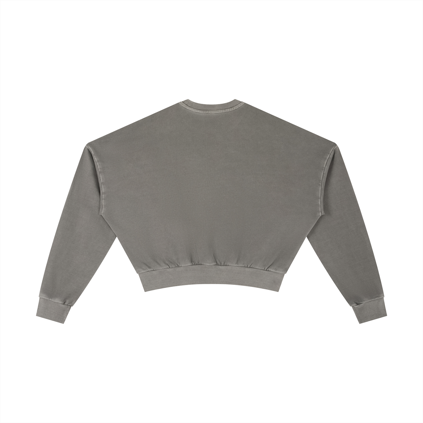 LCC AUTHENTIC Vintage Washed Cropped Sweatshirt