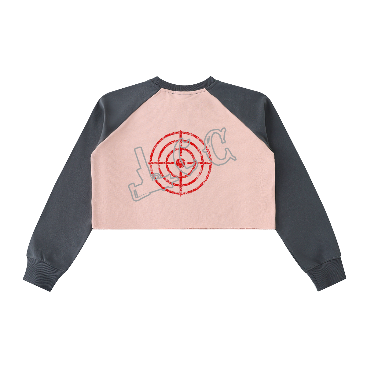 LCC TARGET  Raglan Crop Sweatshirt