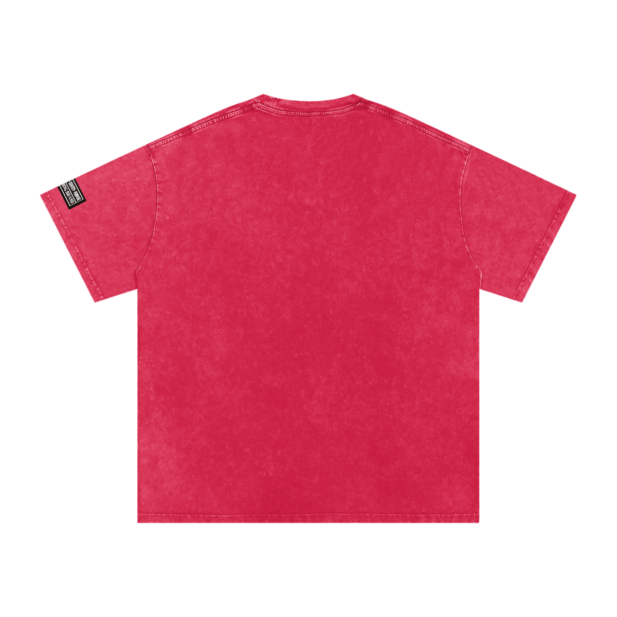 NOTORIOUS BIG Snow Washed Oversized T-Shirt