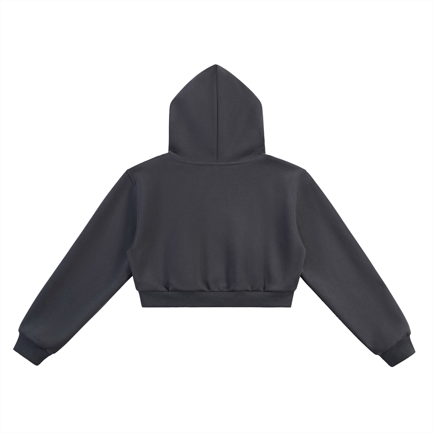 LA VIDA LOCA Essential Cropped Hoodie