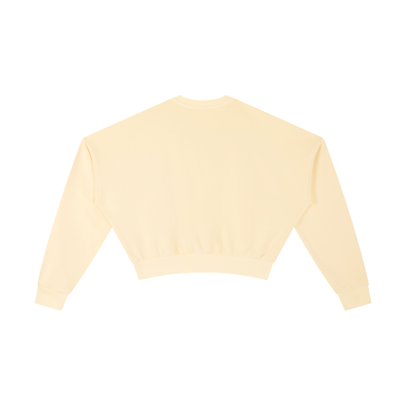 LCC AUTHENTIC Vintage Washed Cropped Sweatshirt