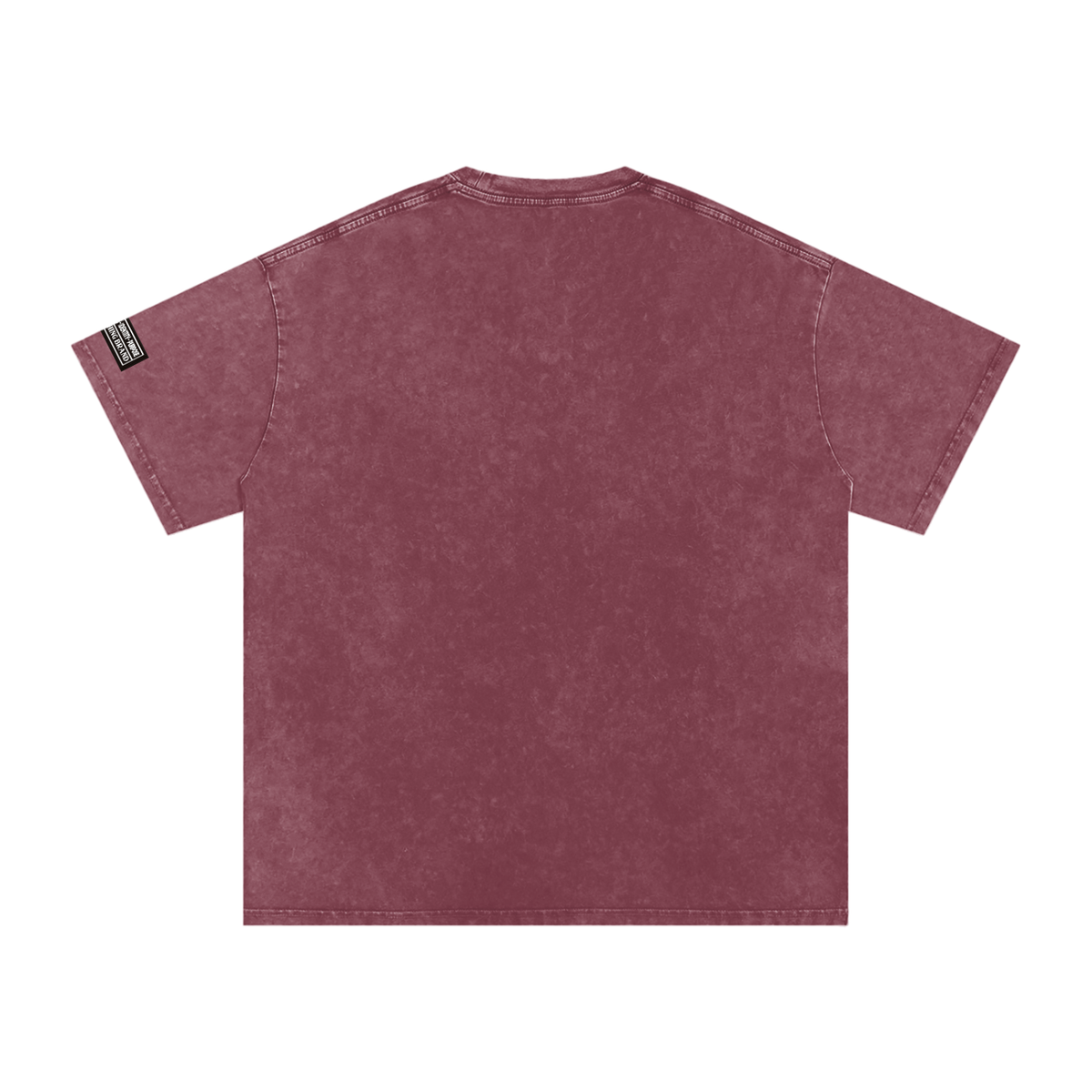 TUPAC Snow Washed Oversized  T-Shirt