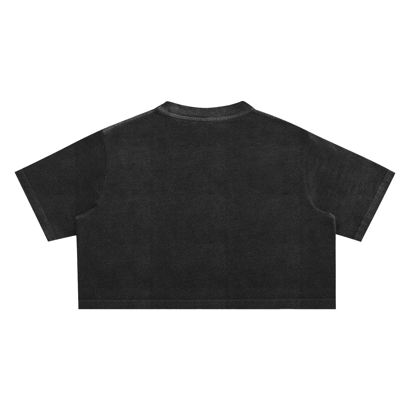 LA VIDA LOCA Snow Washed Crop Top