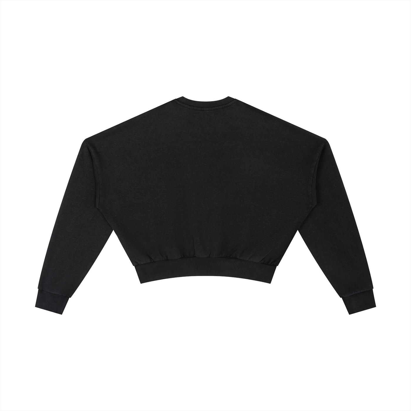 LCC AUTHENTIC Vintage Washed Cropped Sweatshirt