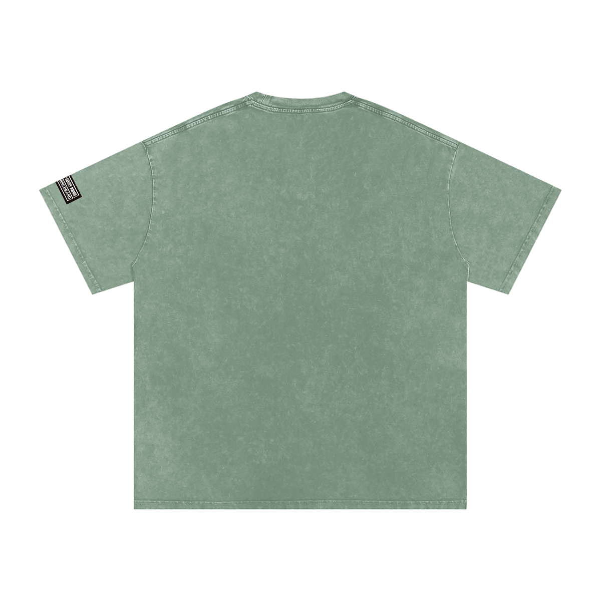 TUPAC Snow Washed Oversized  T-Shirt