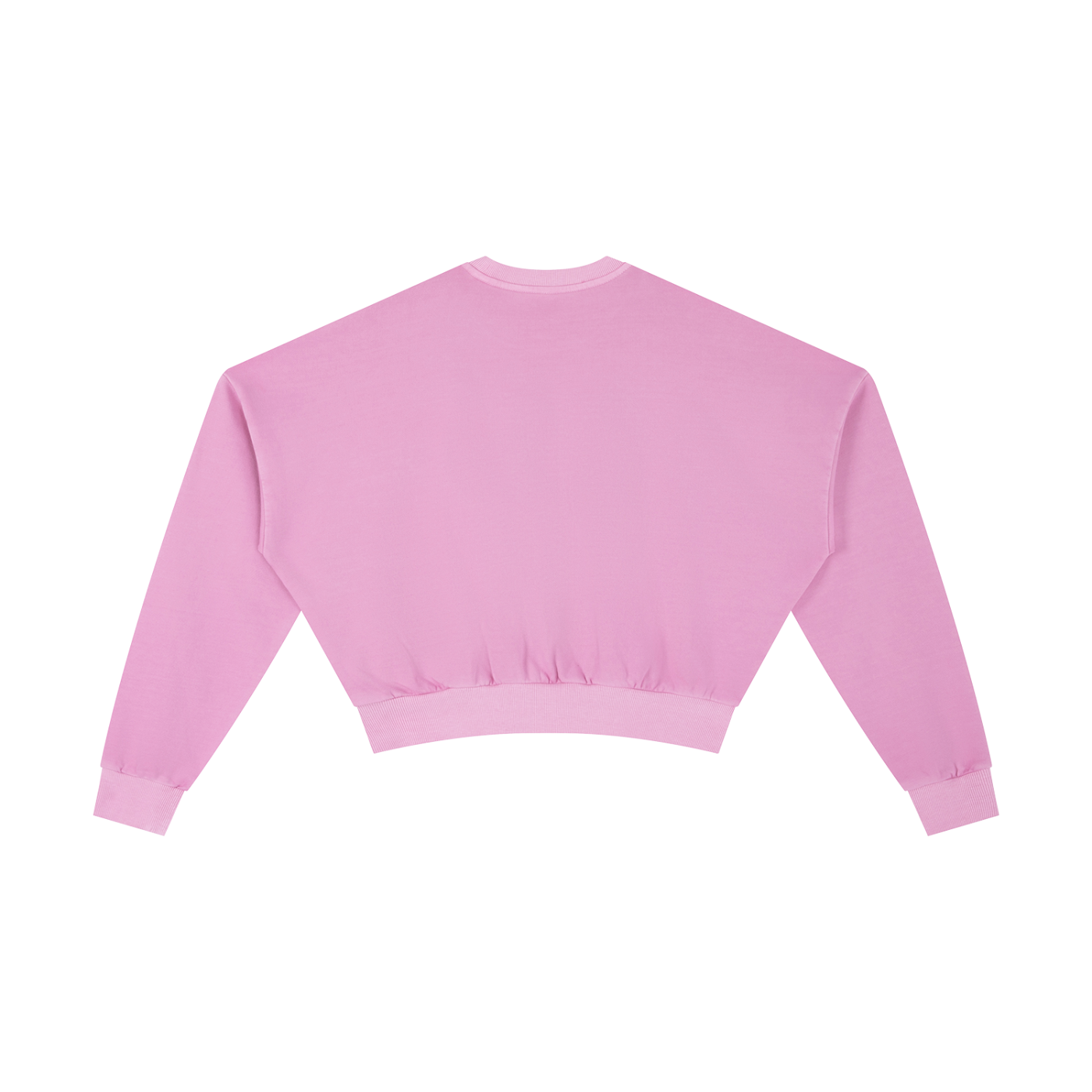 LCC AUTHENTIC Vintage Washed Cropped Sweatshirt