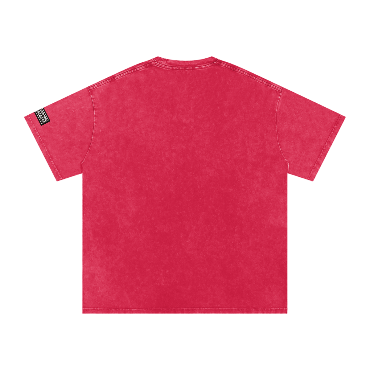 TUPAC Snow Washed Oversized  T-Shirt