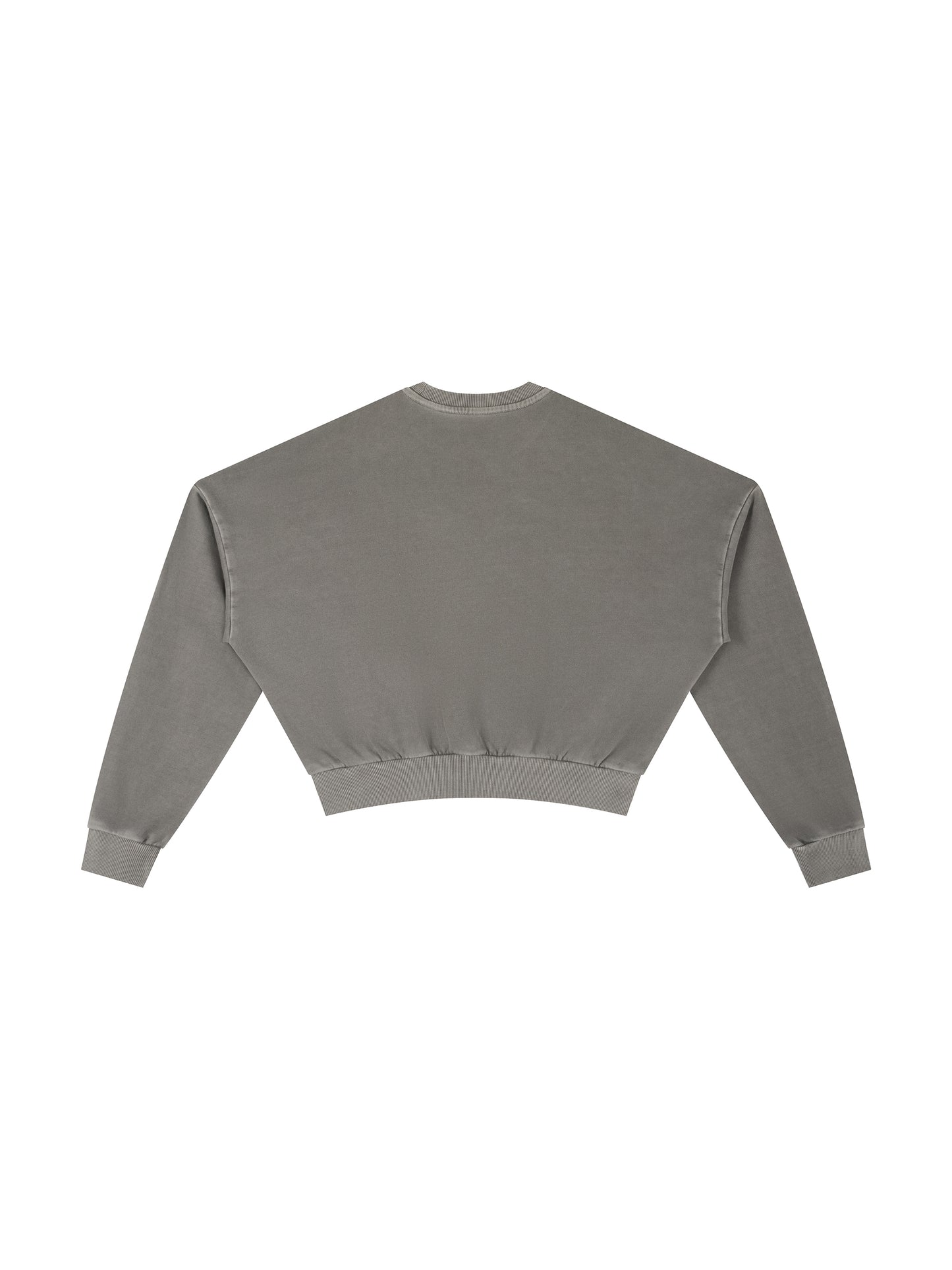 LCC TARGET Vintage Washed Cropped Sweatshirt
