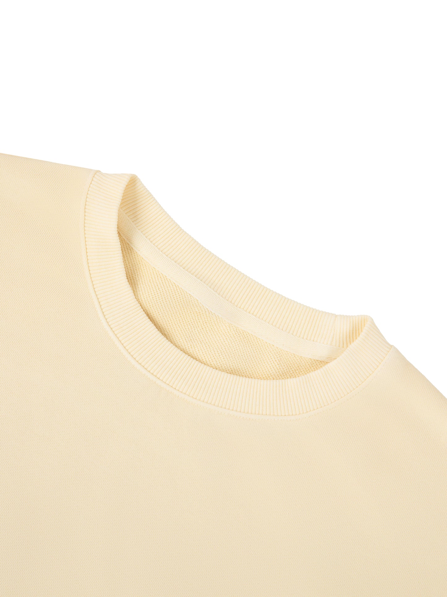 LCC TARGET Vintage Washed Cropped Sweatshirt