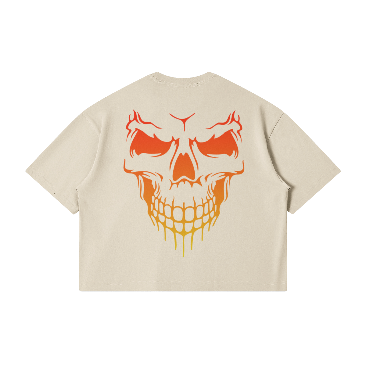 0-YNZ-Back Side
