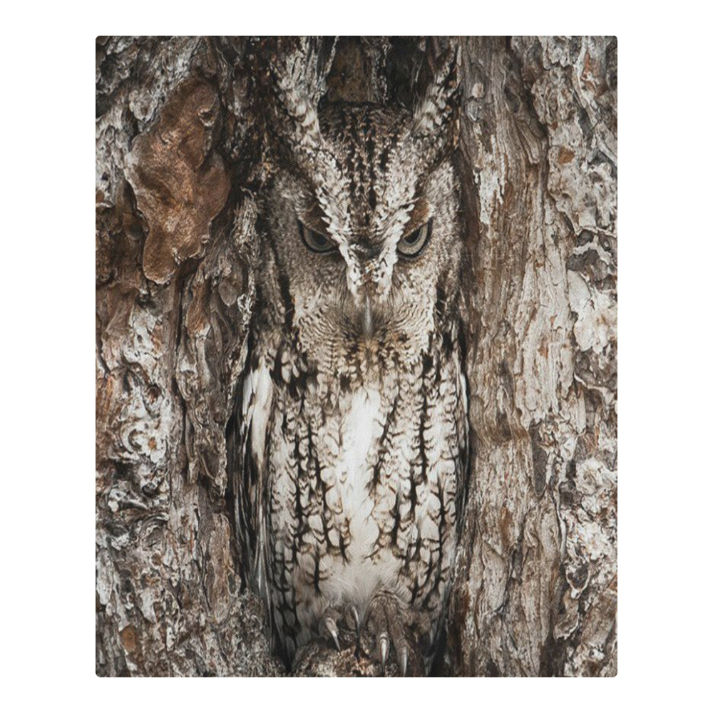 HIDDEN OWL 3-Piece Bedding Set