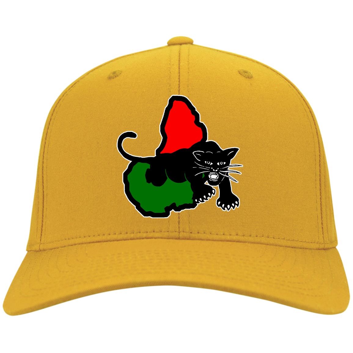 Afrika Panther RBG Twill Cap