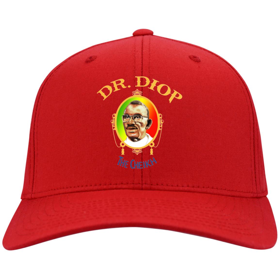 Chieck Anta Diop Youth  Nylon Cap