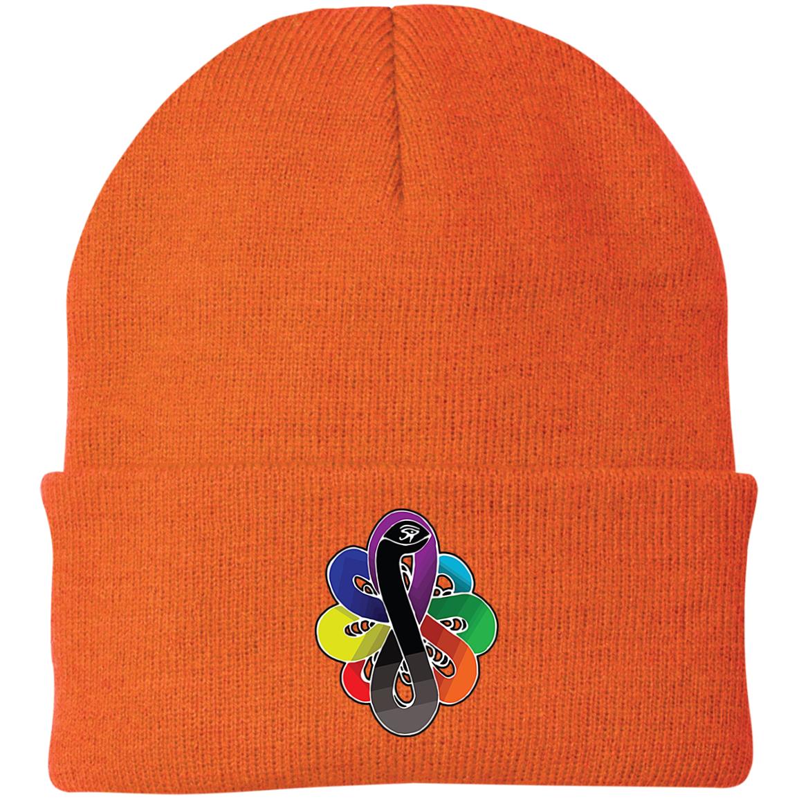Chackra Snake of creation Knit Cap