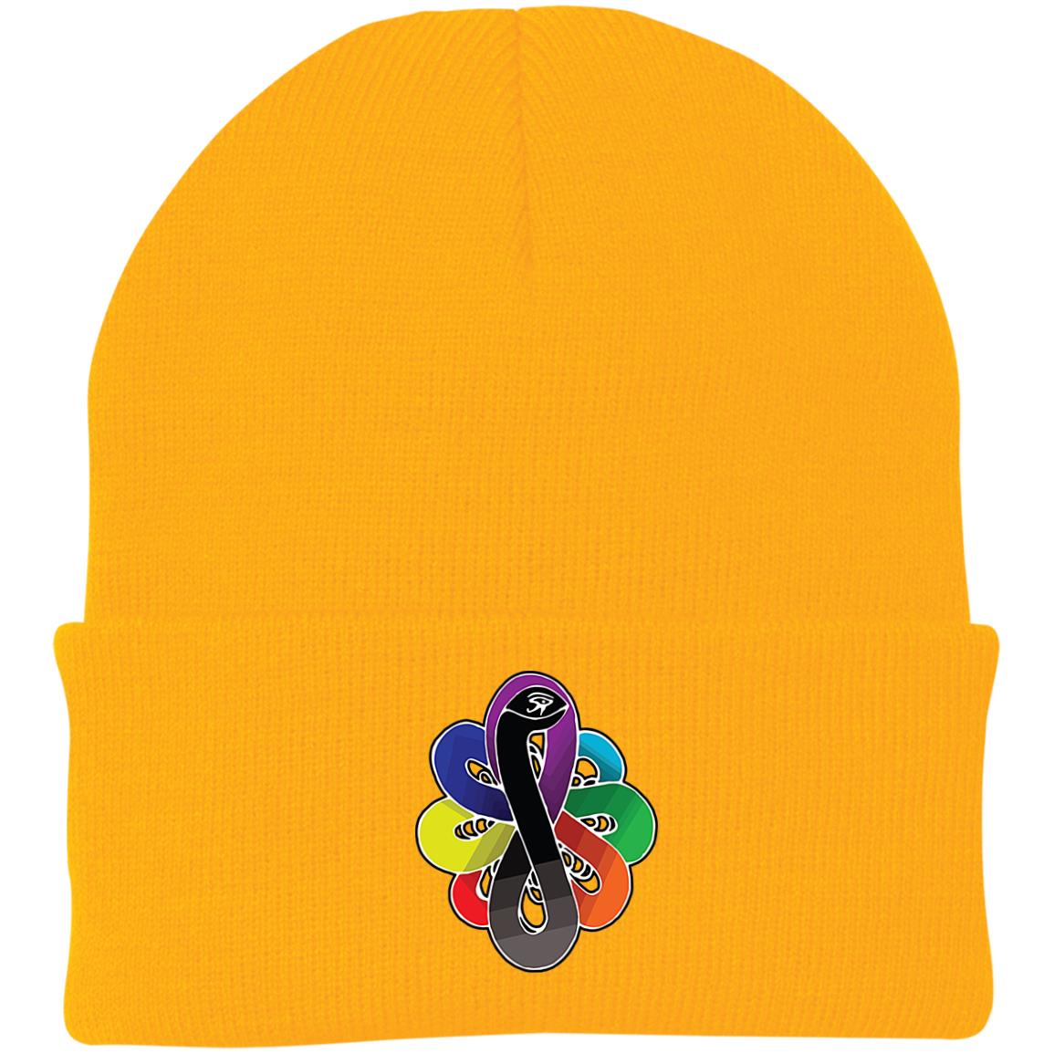 Chackra Snake of creation Knit Cap