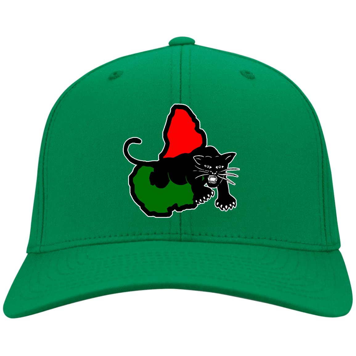 Afrika Panther RBG Youth  Nylon Cap