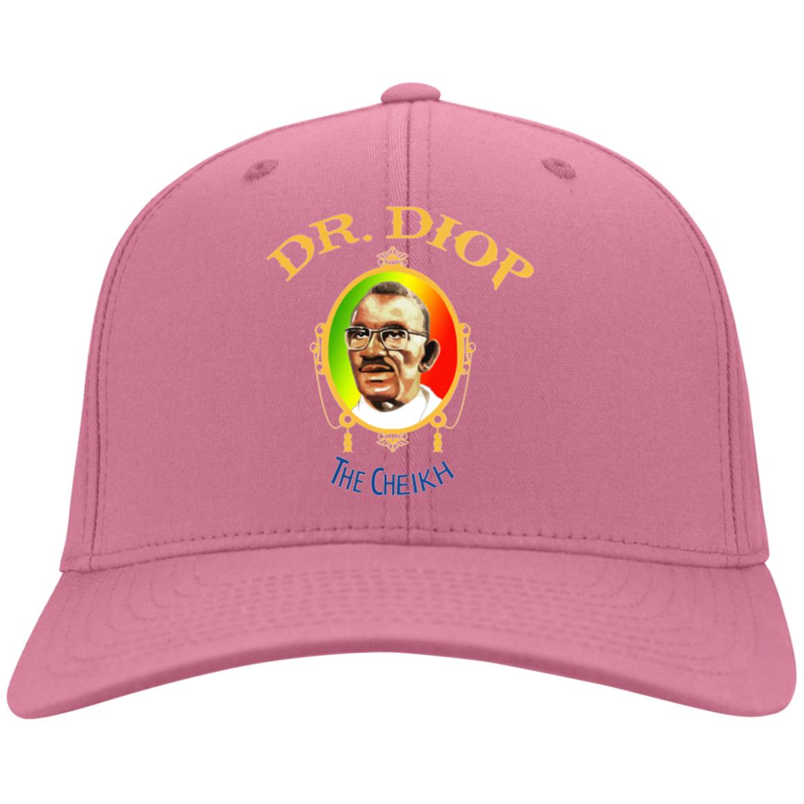 Chieck Anta Diop Flex Fit Twill Baseball Cap