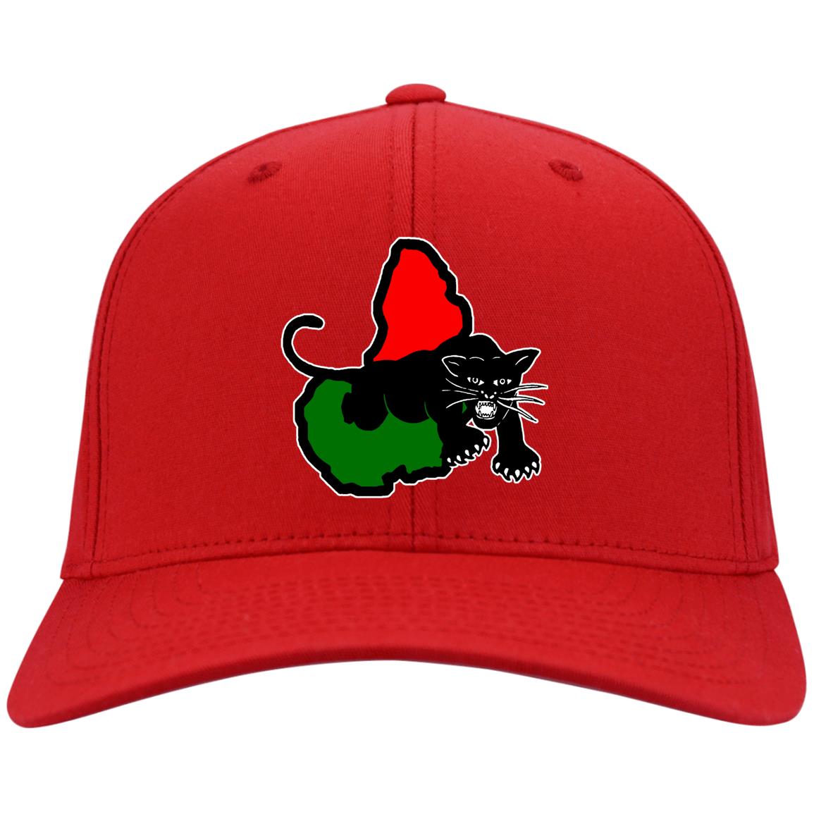 Afrika Panther RBG Youth  Nylon Cap