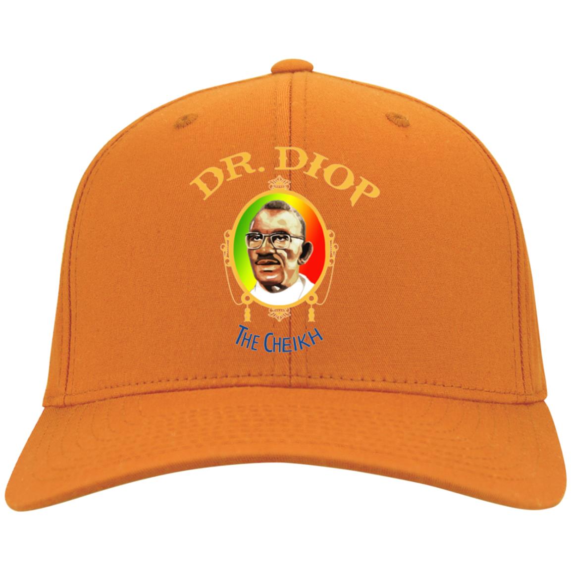 Chieck Anta Diop Flex Fit Twill Baseball Cap
